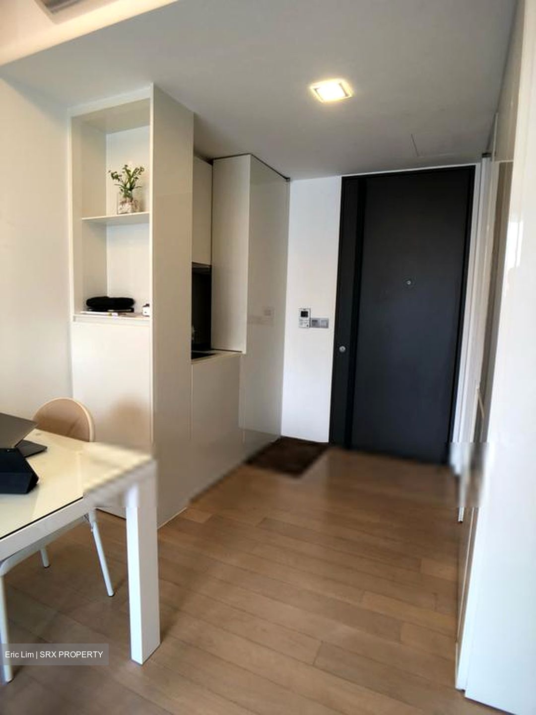 Skysuites@Anson (D2), Apartment #561834261